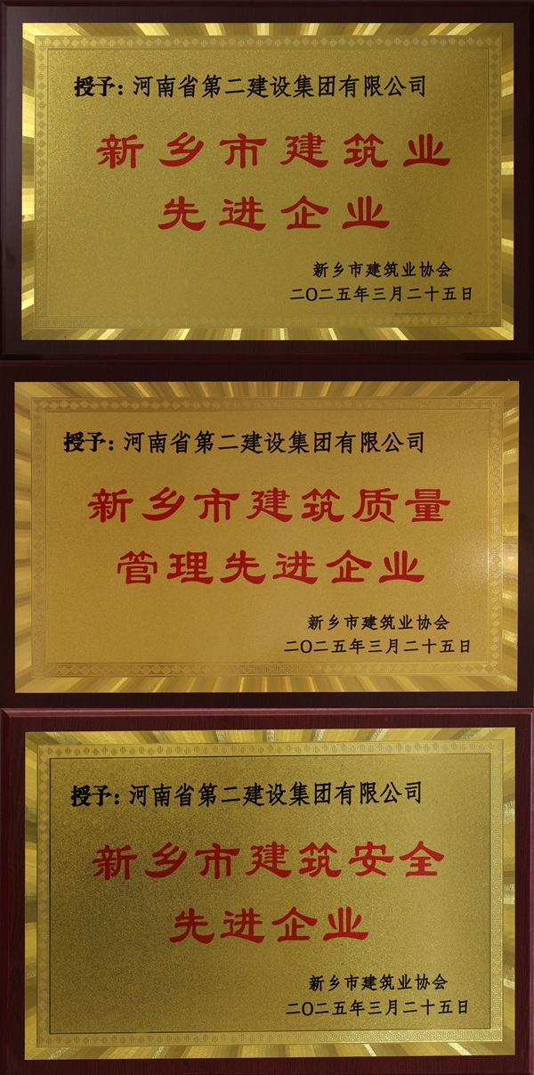 米搏(中国)奖牌拼图.jpg